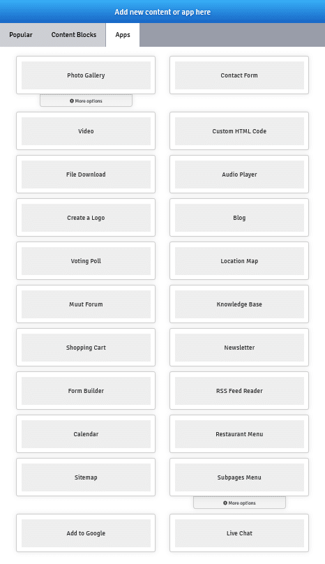 Screenshot of a website content management system options panel.