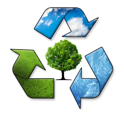 Environmental policy for Patrick Internet Ltd