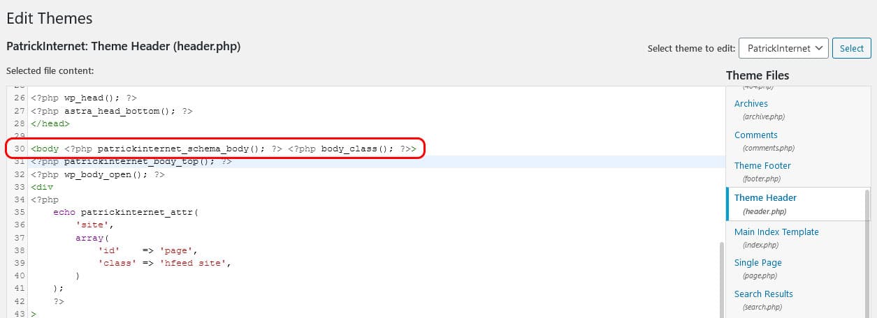 Pasting the Google Tag Manager PHP code into the theme header file